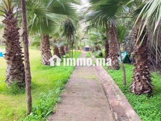 La ferme de tit Melil - Villa Location Vacances - Tit mellil