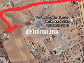 ارض للبيع قريبة من دور العرب - Terrain à vendre - Essaouira