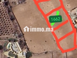 ارض للبيع قريبة من دور العرب - Terrain à vendre - Essaouira