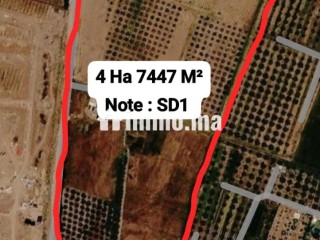 Bonne Affaire : Terrain Zone Villa SD1 – Route de Tahanaout - Terrain à vendre - Marrakech