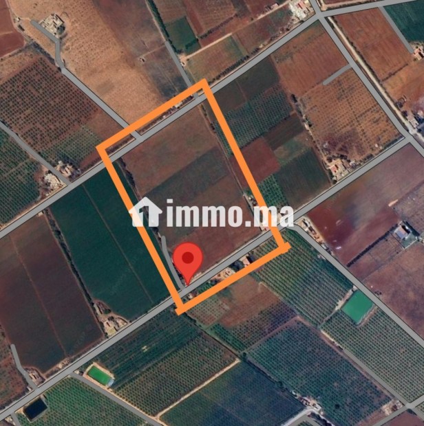 Terrain agricole titré à vendre à Bouchakour Berkane - Vente Immobilier - Berkane - photo 1