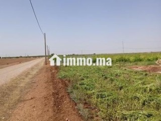 1 h titré béni mellal - Terrain à vendre - Beni Mellal