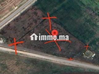 1 h titré béni mellal - Terrain à vendre - Beni Mellal