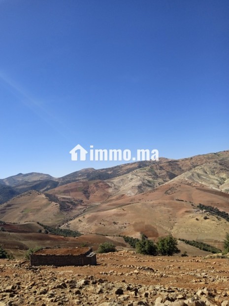 2 Hectar RSEM jbel région béni mellal - Vente Immobilier - Beni Mellal - photo 1