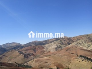 2 Hectar RSEM jbel région béni mellal - Terrain à vendre - Beni Mellal