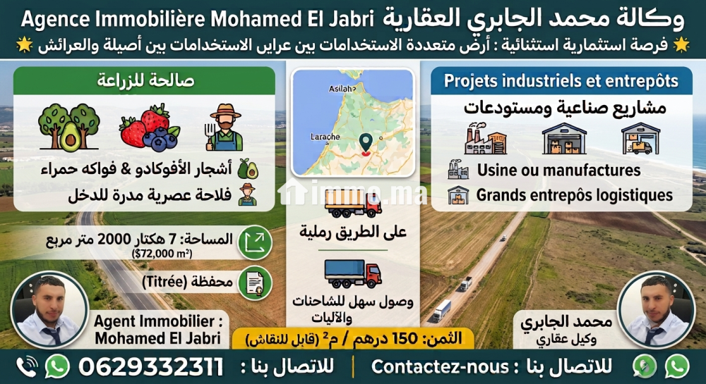 الارض رملية للبيع 7 هكتار محفظة جهة اصيلة - Vente Immobilier - Asilah - photo 1