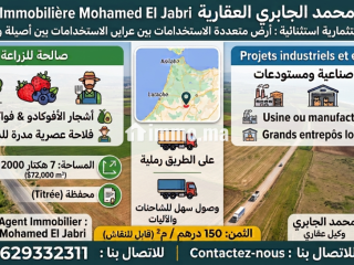 الارض رملية للبيع 7 هكتار محفظة جهة اصيلة - Terrain à vendre - Asilah
