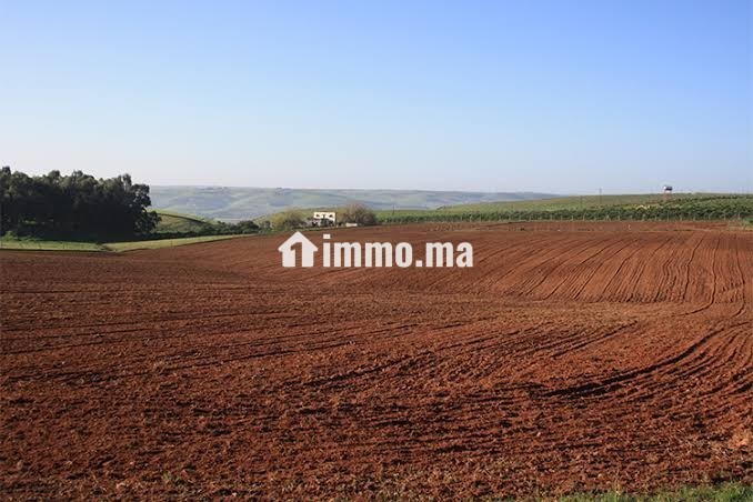 Terain à vendre ain chkef - Vente Immobilier - Fes - photo 1