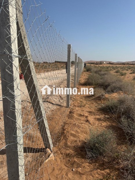 للبيع قطعة أرض محفظة بمساحة (18,000 متر مربع)، تقع بإقليم اشتوكة آيت باها، جماعة آيت ميلك - Vente Immobilier - Ait Melloul - photo 2