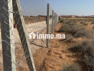 للبيع قطعة أرض محفظة بمساحة (18,000 متر مربع)، تقع بإقليم اشتوكة آيت باها، جماعة آيت ميلك - Terrain à vendre - Ait Melloul