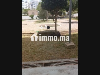 Duplex vide a louer - Appartement à louer - Tanger