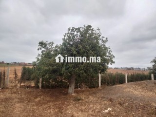 Terraîn a vendre pres de dar bouazza - Terrain à vendre - Dar Bouazza