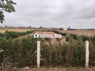 Terraîn a vendre pres de dar bouazza - Terrain à vendre - Dar Bouazza