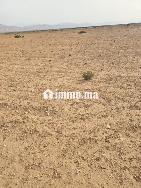 أرض فلاحية محفظة نواحي مراكش مساحتها 2هكتار - Vente Immobilier - Chichaoua - photo 1
