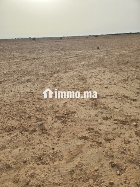 أرض فلاحية محفظة نواحي مراكش مساحتها 2هكتار - Vente Immobilier - Chichaoua - photo 2
