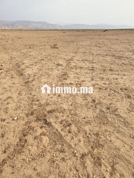 أرض فلاحية محفظة نواحي مراكش مساحتها 2هكتار - Vente Immobilier - Chichaoua - photo 3