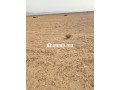 أرض فلاحية محفظة نواحي مراكش مساحتها 2هكتار - miniature 1