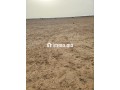 أرض فلاحية محفظة نواحي مراكش مساحتها 2هكتار - miniature 2