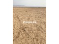 أرض فلاحية محفظة نواحي مراكش مساحتها 2هكتار - miniature 3