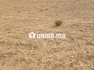 أرض فلاحية محفظة نواحي مراكش مساحتها 2هكتار - Terrain à vendre - Chichaoua