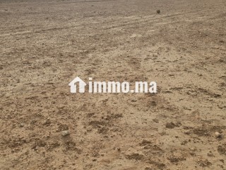 أرض فلاحية محفظة نواحي مراكش مساحتها 2هكتار - Terrain à vendre - Chichaoua