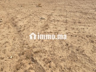 أرض فلاحية محفظة نواحي مراكش مساحتها 2هكتار - Terrain à vendre - Chichaoua