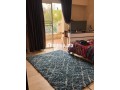 Villa Californie 524 m2 - miniature 2