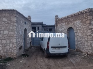 Villa à vendre à Essaouira – terrain 2 000 m², piscine, puits et oliviers - Villa à vendre - Essaouira