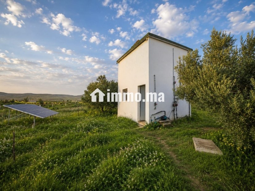 À VENDRE — FERME DE 1,13 HA AVEC VILLA À PROXIMITÉ DE FÈS - Vente Immobilier - Fes - photo 4