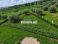 À VENDRE — FERME DE 1,13 HA AVEC VILLA À PROXIMITÉ DE FÈS - miniature 3