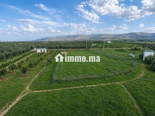 À VENDRE — FERME DE 1,13 HA AVEC VILLA À PROXIMITÉ DE FÈS - Villa à vendre - Fes