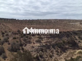 Terrain a vendre - Vente Immobilier - Essaouira - photo 1