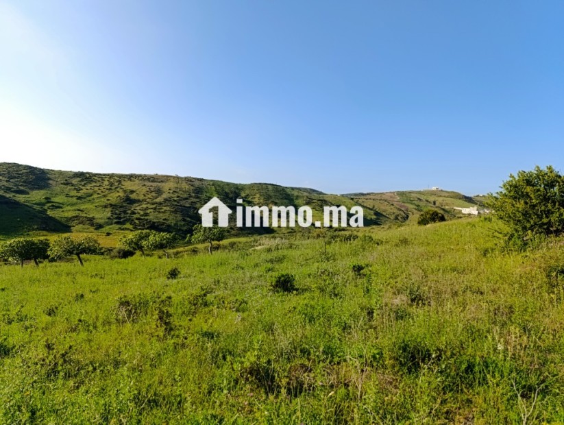 Terrain a vendre a wadalian de 2406 m - Vente Immobilier - Tanger - photo 6