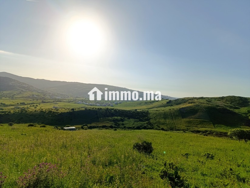 Terrain a vendre a wadalian de 2406 m - Vente Immobilier - Tanger - photo 4