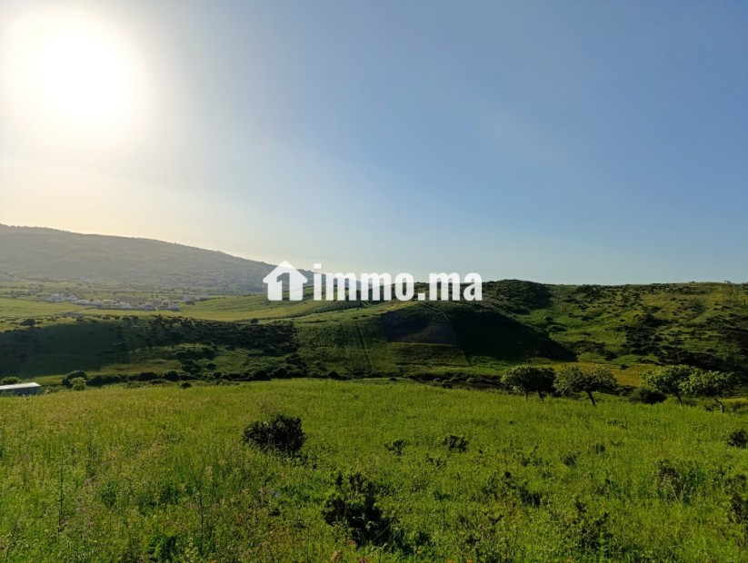 Terrain a vendre a wadalian de 2406 m - Vente Immobilier - Tanger - photo 5