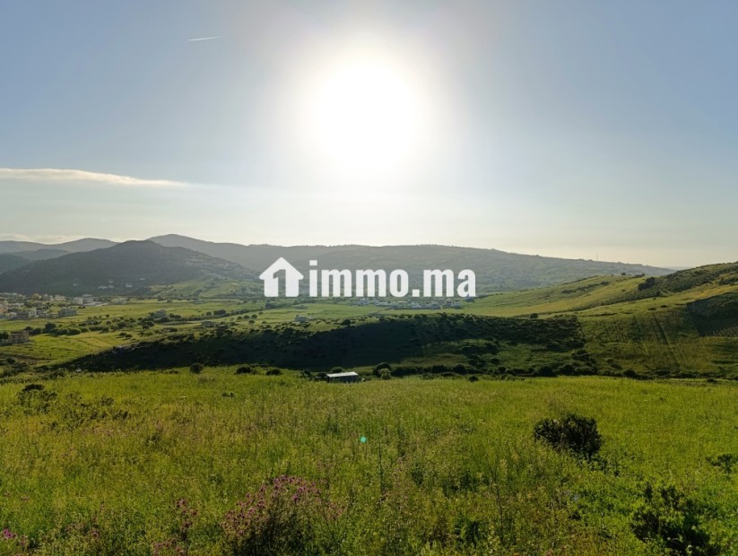 Terrain a vendre a wadalian de 2406 m - Vente Immobilier - Tanger - photo 3