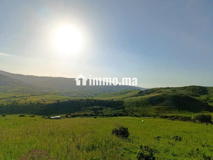 Terrain a vendre a wadalian de 2406 m - Vente Immobilier - Tanger - photo 2