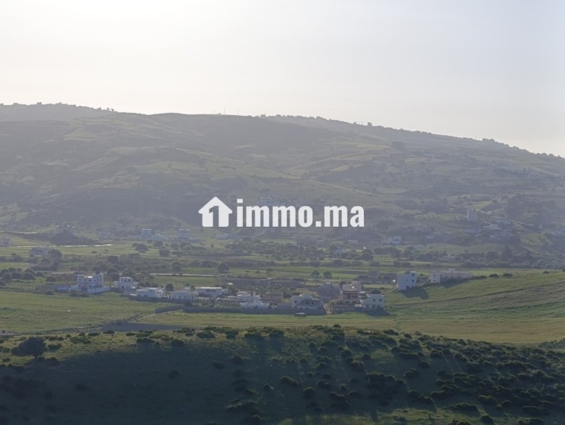 Terrain a vendre a wadalian de 2406 m - Vente Immobilier - Tanger - photo 1
