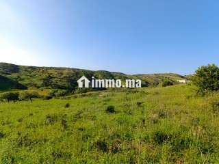 Terrain a vendre a wadalian de 2406 m - Terrain à vendre - Tanger