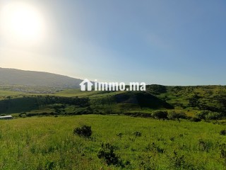 Terrain a vendre a wadalian de 2406 m - Terrain à vendre - Tanger