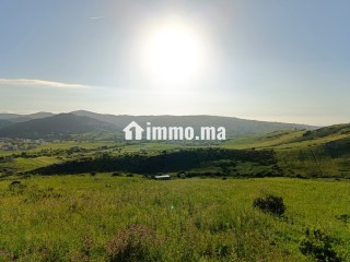 Terrain a vendre a wadalian de 2406 m - Terrain à vendre - Tanger
