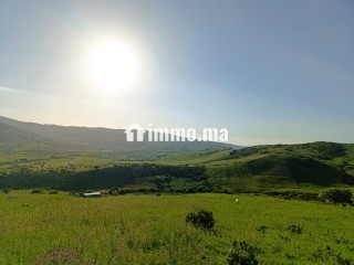 Terrain a vendre a wadalian de 2406 m - Terrain à vendre - Tanger
