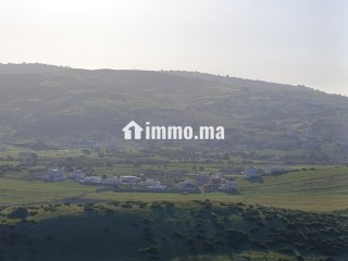 Terrain a vendre a wadalian de 2406 m - Terrain à vendre - Tanger