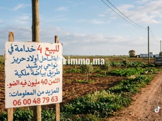 أربعة خدامة للبيع نواحي برشيد - Terrain à vendre - Berrechid