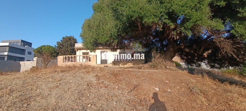 Maison à vendre à wadalian - Vente Immobilier - Tanger - photo 1