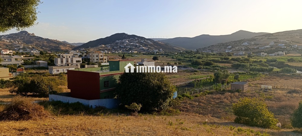 Maison à vendre à wadalian - Vente Immobilier - Tanger - photo 3