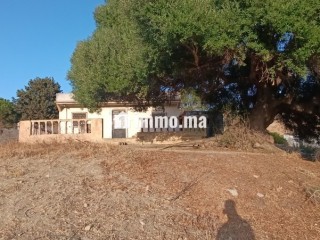 Maison à vendre à wadalian - Maison à vendre - Tanger