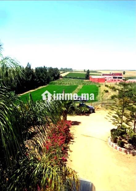 À VENDRE DOMAINE AGRICOLE 14 HECTARES BRACHOUA - Vente Immobilier - Rabat - photo 8