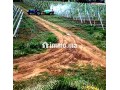 À VENDRE DOMAINE AGRICOLE 14 HECTARES BRACHOUA - miniature 3