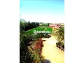 À VENDRE DOMAINE AGRICOLE 14 HECTARES BRACHOUA - miniature 8